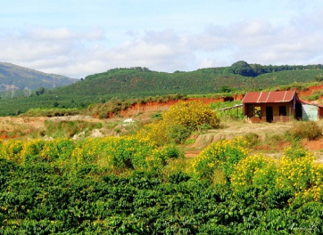 Căn hộ
